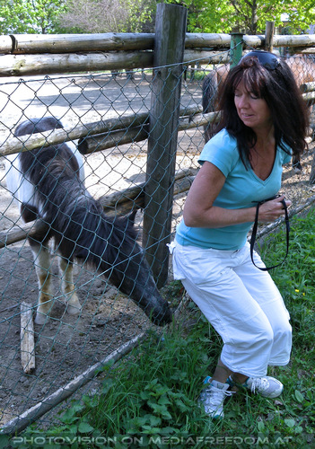 Zu den Pferdekoppeln 7: Eva D.