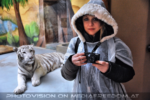 Wei�e Tiger 08: Gabriele P.