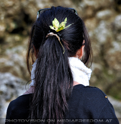 Der Marienk�fer 06