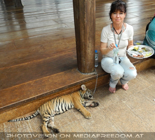 The B-Day of the Tigerman Pix 054