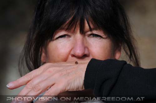 Der Marienk�fer 07