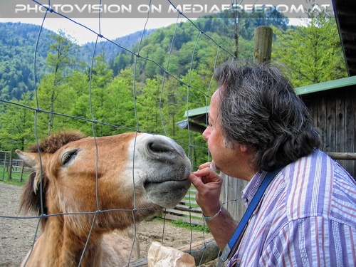 Przewalski-Pferd 4: Charly Swoboda