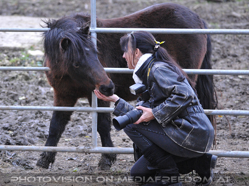 Bei den Pferden 4: Eva D.