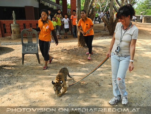 The B-Day of the Tigerman Pix 062: Eva D.