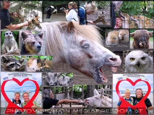 Natur entdecken - Tiere erleben