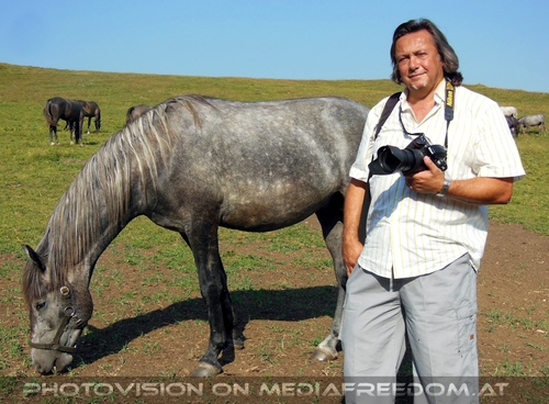 Bei den Junghengsten 10