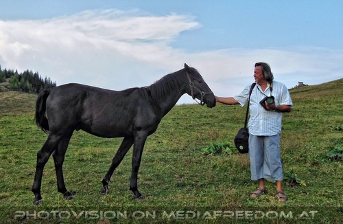 Bei den Junghengsten 18