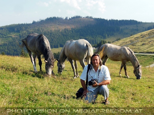 Bei den Junghengsten 23