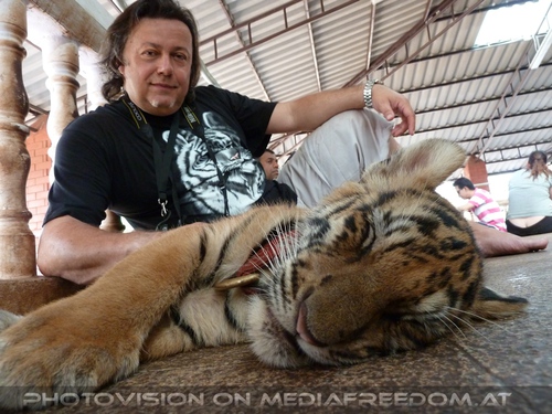 The B-Day of the Tigerman Pix 036