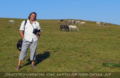 Bei den Junghengsten 29