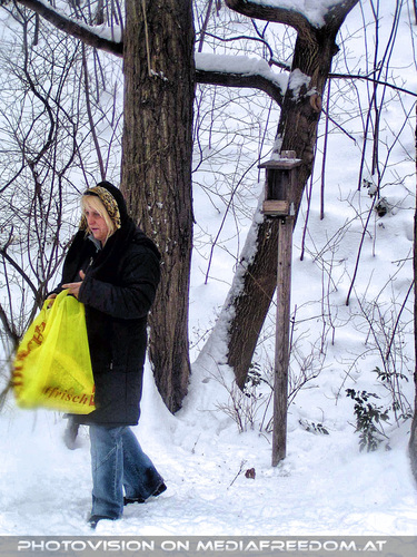 V�gel f�ttern 03