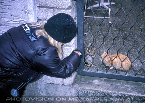 Urlaub am Bauernhof 05