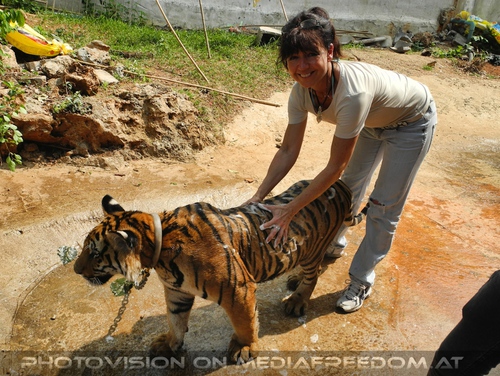 The B-Day of the Tigerman Pix 072