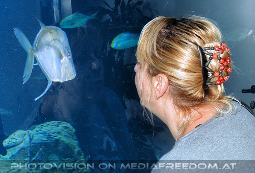 Aqua Terra 10: Gabriele P.