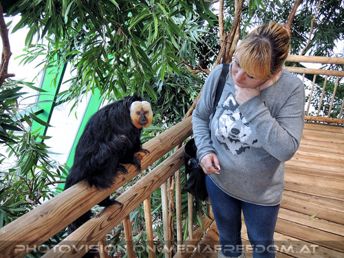 Aqua Terra 44: Gabriele P.