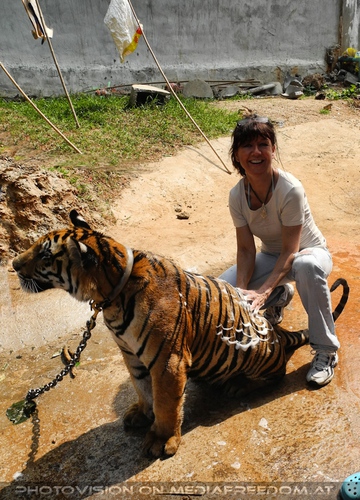 The B-Day of the Tigerman Pix 073