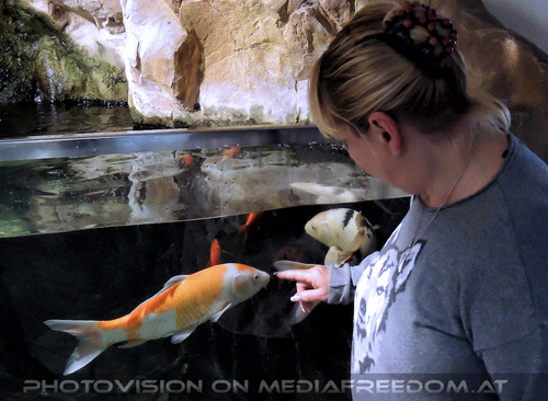 Aqua Terra 60: Gabriele P.