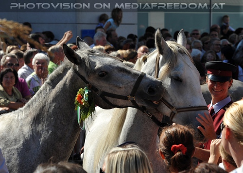 Einzug in K�flach 04