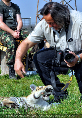 In menschlicher Obhut 13