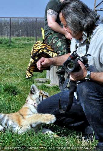 In menschlicher Obhut 10