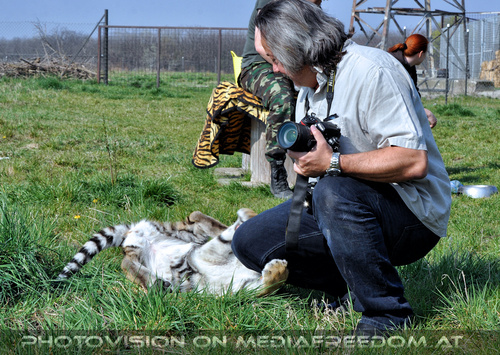 In menschlicher Obhut 11