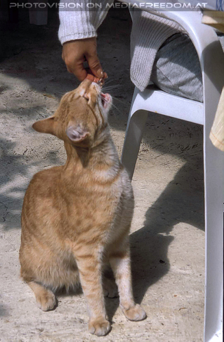 ...in den Tag 09: Gabriele P.