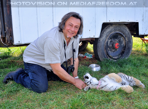 Im Tiger Baby Land 20