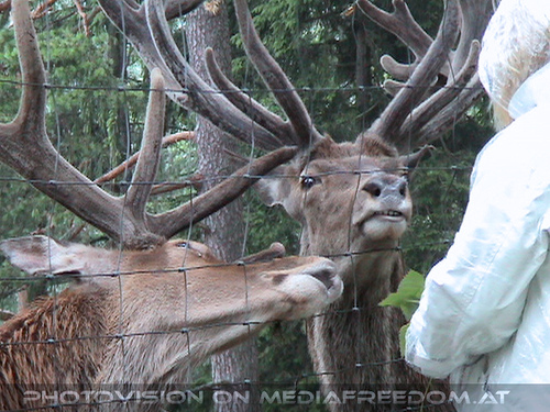 Nasse Wanderung 10: Gabriele P.