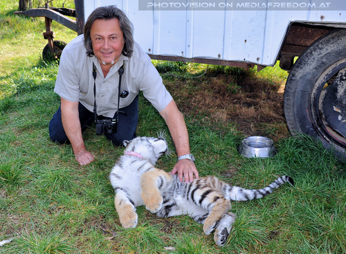 Im Tiger Baby Land 21