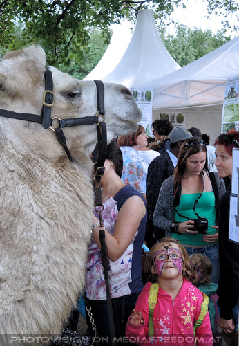 Afrikanischer Bazar 19