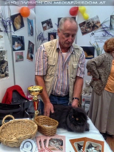 Hund, Katz und Co 04