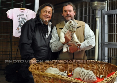 Reich an wei�en Tigern 42