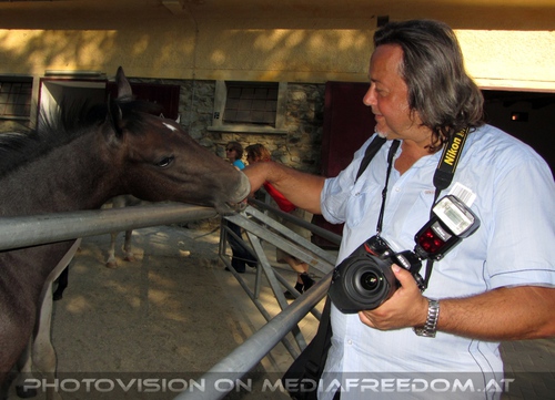 Wieder im Gest�t 14