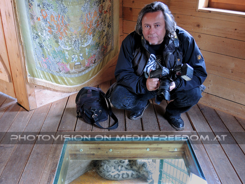 Schneeleoparden F�tterung 13: Charly Swoboda