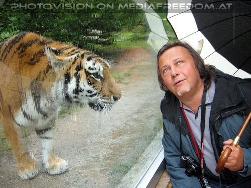 Was denkt sich der blo� - der Tigermann: Charly Swoboda