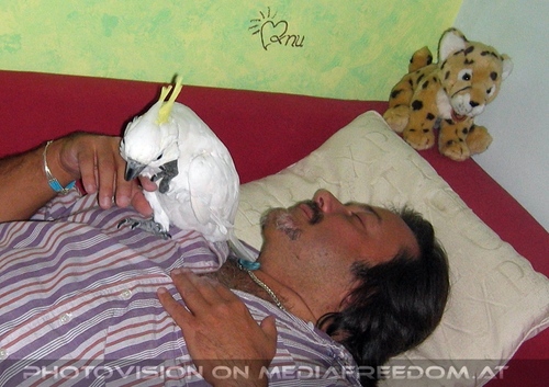 Blue-eyed lullaby 31