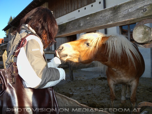 Im Paradies f�r Tiere 28