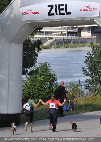 Mensch und Tier Lauf - Bild 03