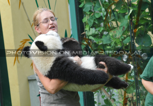 Alles im Griff: Fu Long