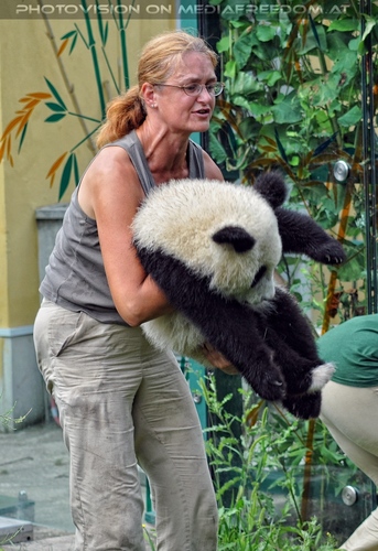 Gro�er kleiner Panda 5: Fu Long