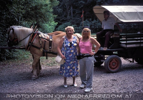 Mit der Pferdekutsche