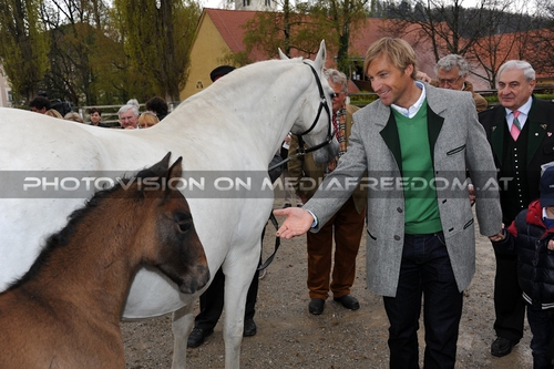 Club der Freunde des Lipizzanergest�ts 41