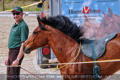 Die Pr�sentationen 47