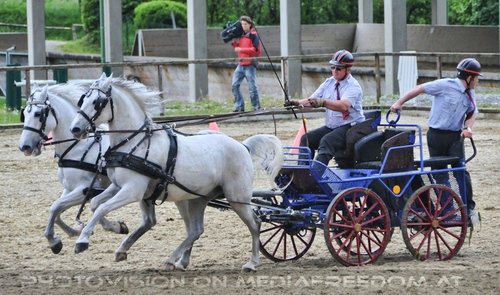 Die Pr�sentation 16