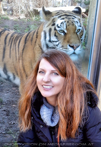 Sibirische Tiger 02: Manuela M.