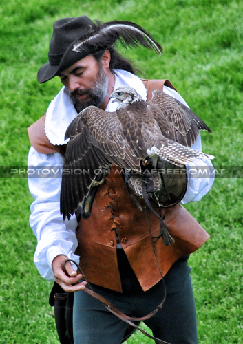 Historische Falknerei 07