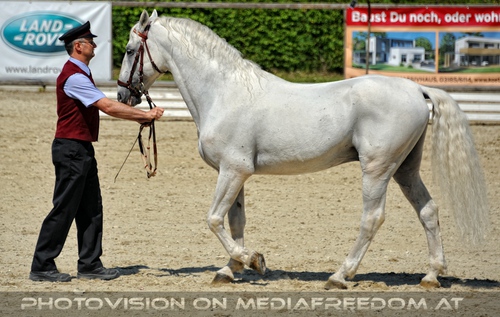 Die Lipizzaner Heimat 017