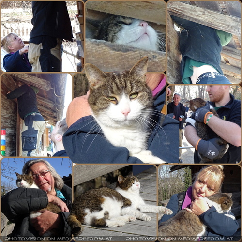 Rettung der Katzenlady Resi: Resi, Gabriele P., Charly Swoboda