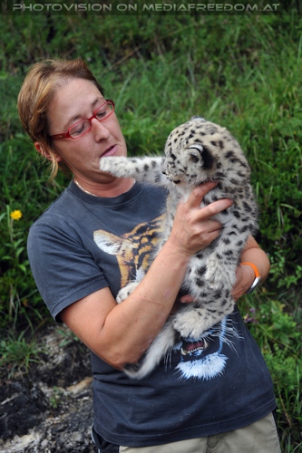 Begr��ung der Schneeleoparden-Zwillinge 21