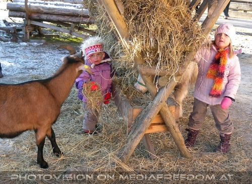 Im Paradies f�r Tiere 33